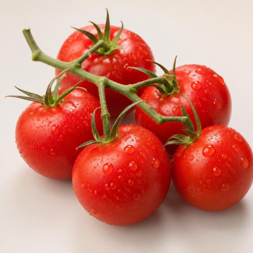 Illustration of Tomatoes